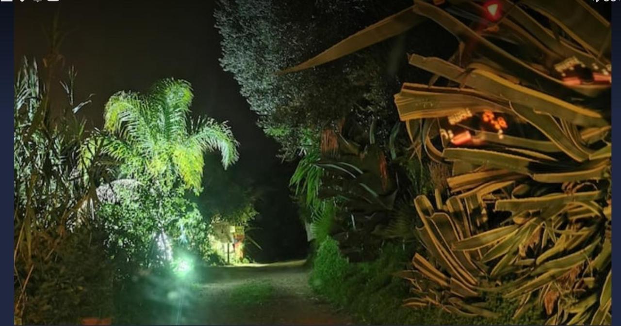 Romantic Casa Lorenzina Affittacamere Ventimiglia Exterior foto